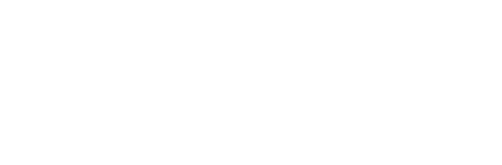 Dragon Modifications